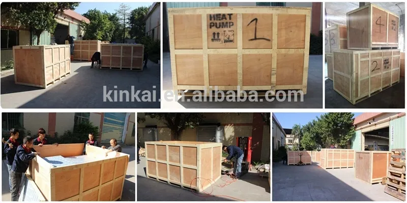 Máquina Industrial de Desidratação de Frutos do Mar para Frutas / Forno de Secagem para Madeira
