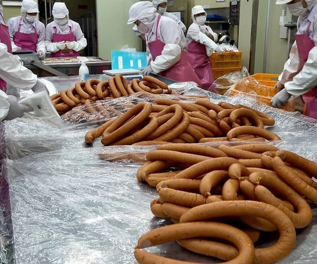 Máquina de Enchimento e Recheio de Salsichas Elétrica de Uso Comercial e Alta Resistência