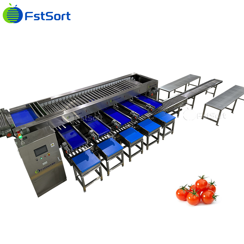 Máquina de Classificação e Ordenação de Tomates Cereja com Tamanho Ajustável, Equipamento de Processamento de Tomates Cereja, Sistema de Pesagem de Tomates Cereja