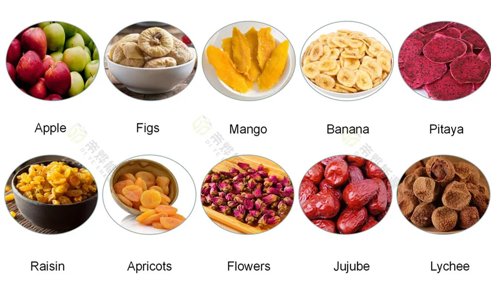 Máquina de Desidratação de Alimentos Profissional Fábrica de Bulgur Bomba de Calor Industrial Forno de Secagem de Wolfberry Jujube Desidratador de Frutas Kiwi Pêssego Cereja Cebola