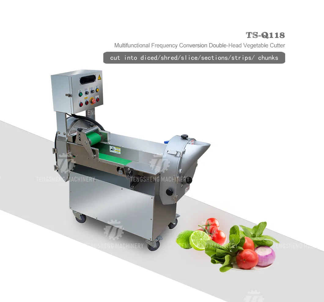 Máquina de Corte de Legumes e Frutas Industrial (TS-Q118)