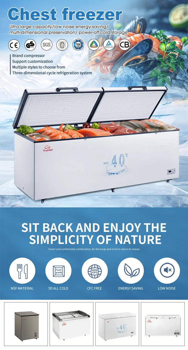 Freezer Horizontal Comercial de Baixo Consumo com Duas Portas para Exibição de Carne e Sorvete em Garagem