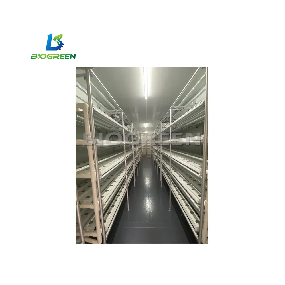 Sistema Aeropônico de Microrganismos em Contêiner de Cultivo Vertical Totalmente Automático para Cogumelos