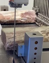 Máquina Automática de Corte de Carne Congelada, Máquina de Serras para Ossos, Máquinas de Processamento de Carne
