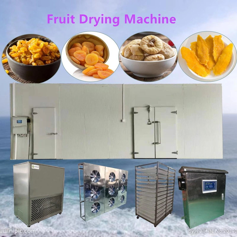 Máquina de Desidratação de Alimentos Profissional Fábrica de Bulgur Bomba de Calor Industrial Forno de Secagem de Wolfberry Jujube Desidratador de Frutas Kiwi Pêssego Cereja Cebola