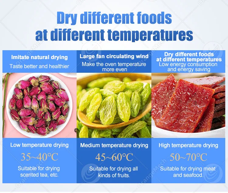 Detalhe do Secador de Alimentos 5