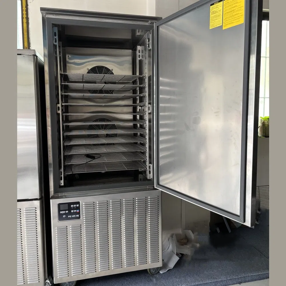 15 Congelador Rápido Comercial Pans Chiller Gelato Peixe Frutos do Mar Fruta -40 Grau