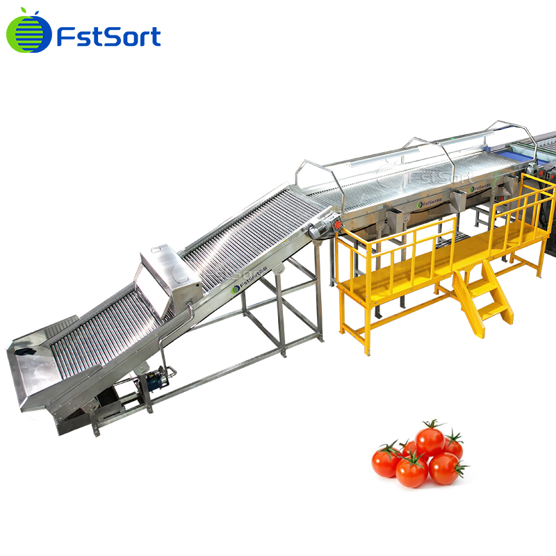 Máquina de Classificação e Ordenação de Tomates Cereja com Tamanho Ajustável, Equipamento de Processamento de Tomates Cereja, Sistema de Pesagem de Tomates Cereja