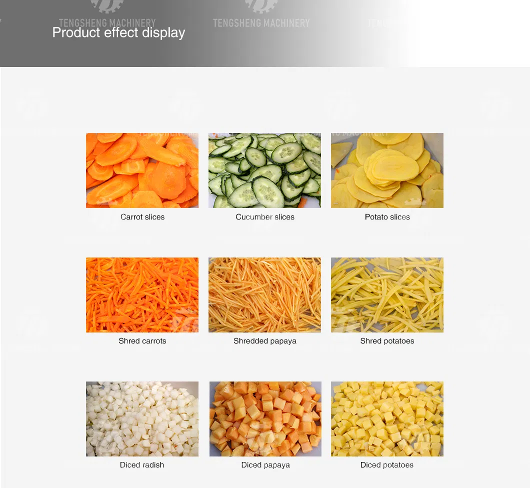 Máquina de Corte de Legumes e Frutas Industrial (TS-Q118)