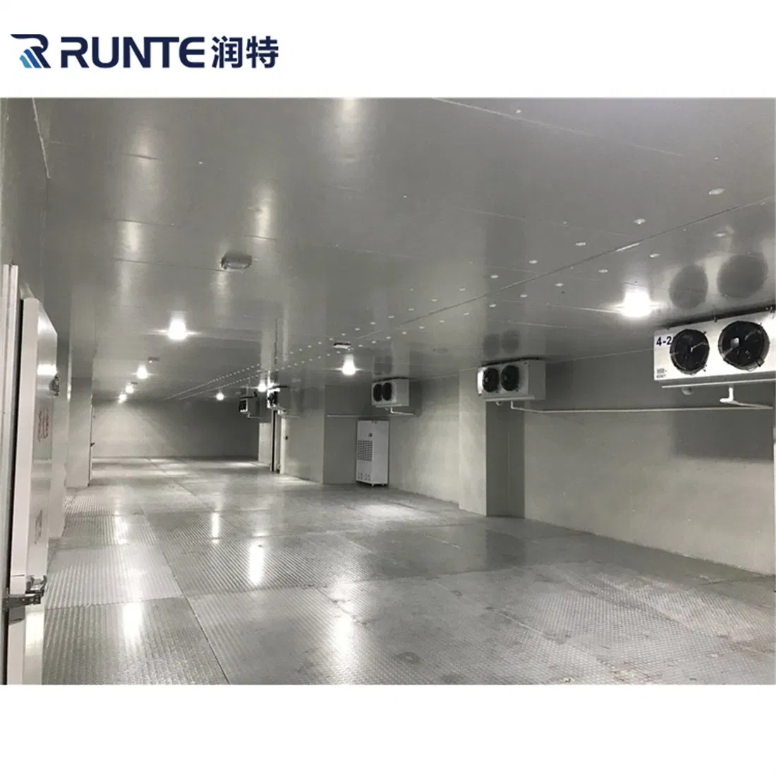 Congelador industrial comercial Runte, congelador walk-in para carne e peixe, armazenamento a frio de baixa temperatura, preço de fábrica