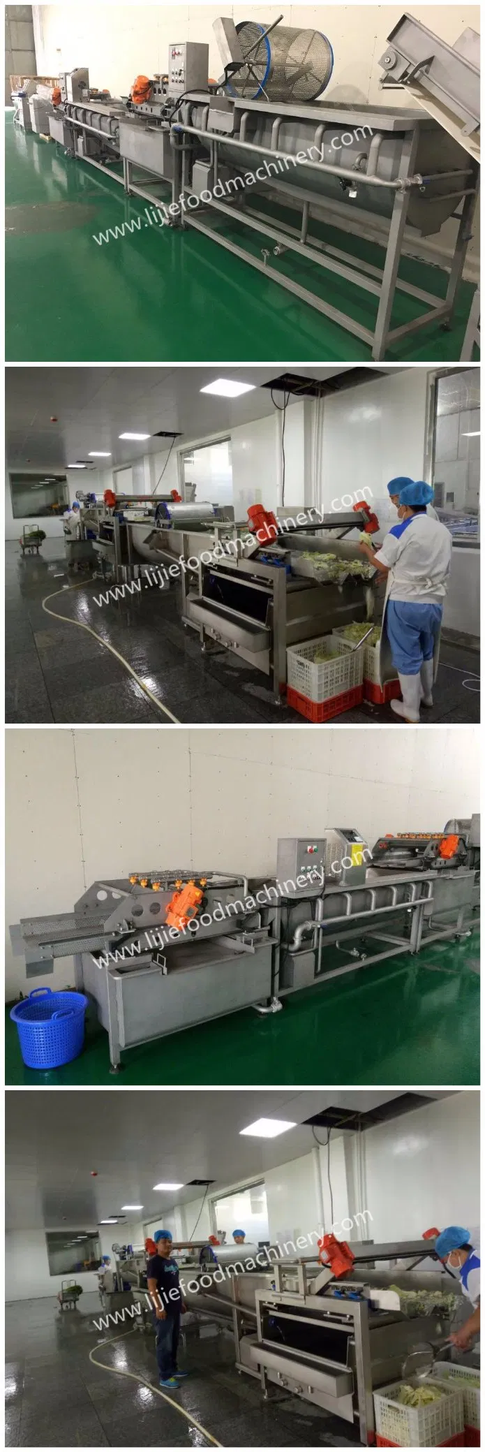 Máquina Industrial Automática de Corte, Dicing e Lavagem de Repolho e Alface
