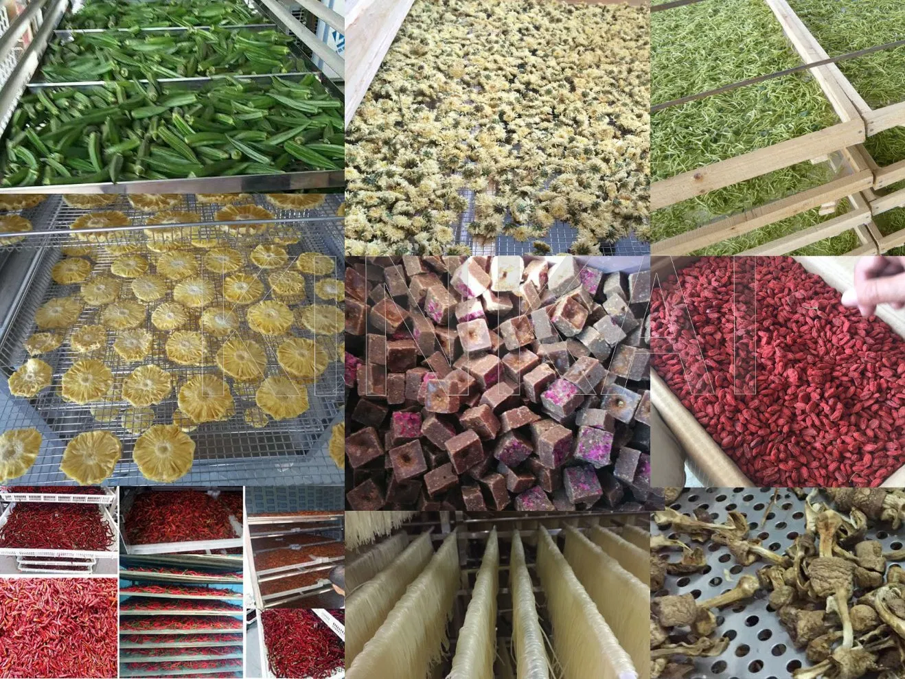 Máquina Industrial de Desidratação de Frutos do Mar para Frutas / Forno de Secagem para Madeira