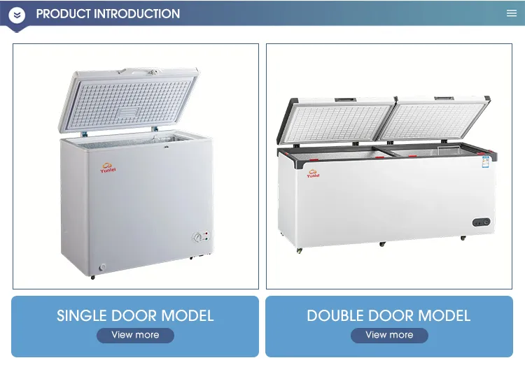 Freezer Horizontal Comercial de Baixo Consumo com Duas Portas para Exibição de Carne e Sorvete em Garagem
