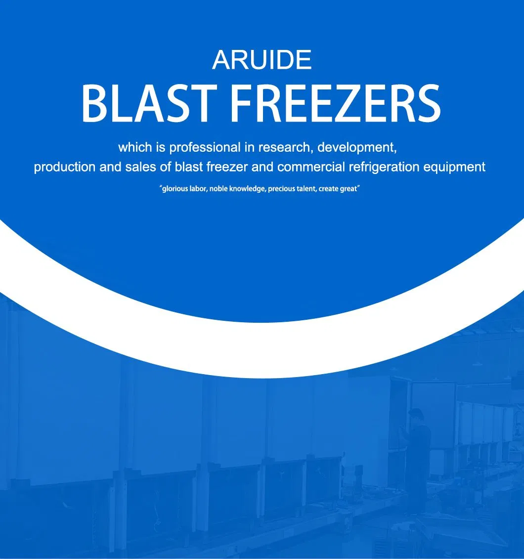 Congelador Comercial de Alta Eficiência Rápido Chiller15pans -45 Graus Compressor de Duas Etapas