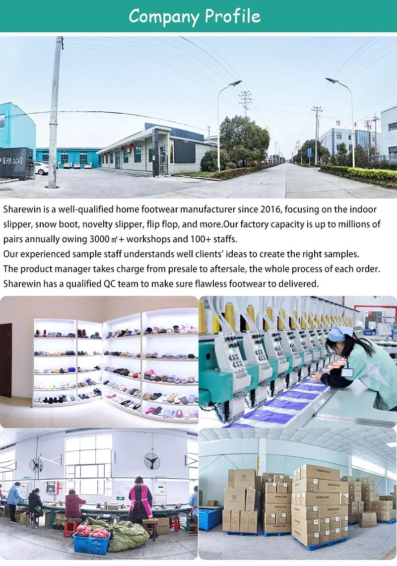 Company Profile 1