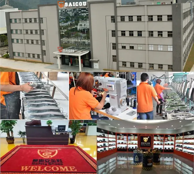 Safety Testing Compliance