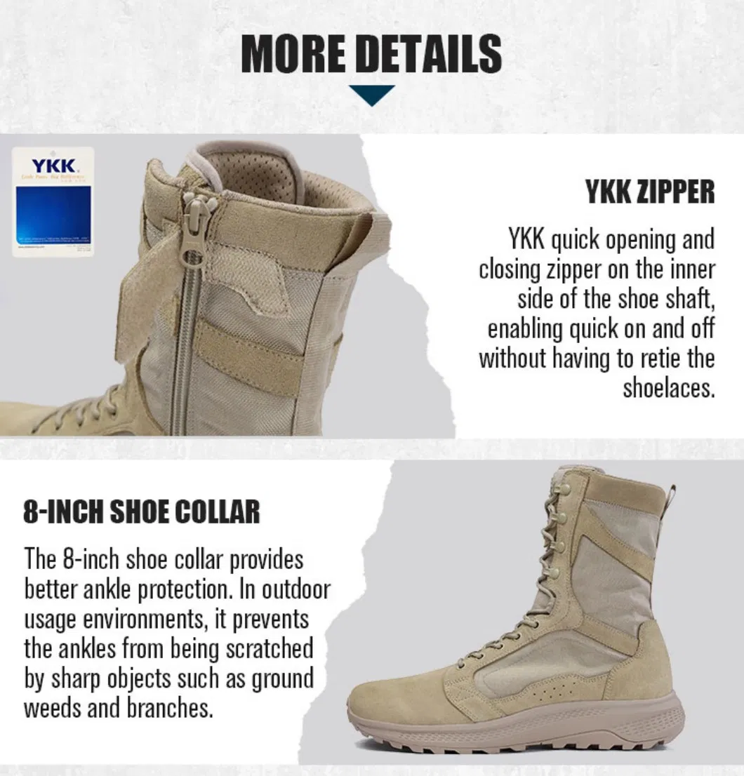 Design Layout