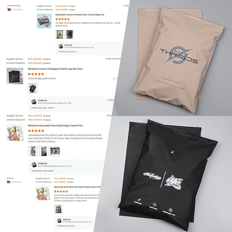 Custom Biodegradable Small Zip Lock Packaging Tote Tshirts Custom Frosted Zipper Bag Frost Plastic Bags