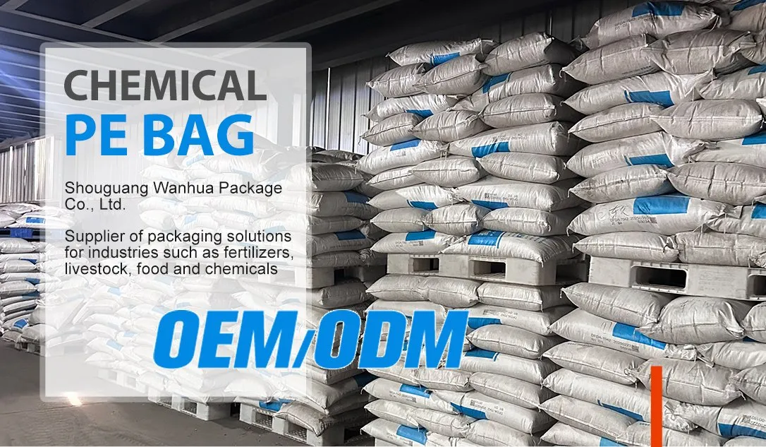 PE Plastic Packaging Bag