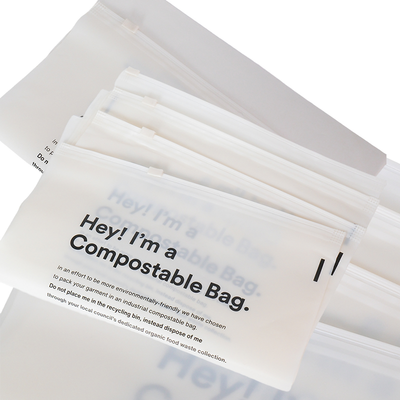 BPB Eco Friendly Zipper Clothes Biodegradable Frosted Plastic Ziplock Bag PE Zip Lock Packaging Bag with Custom logo Printing
