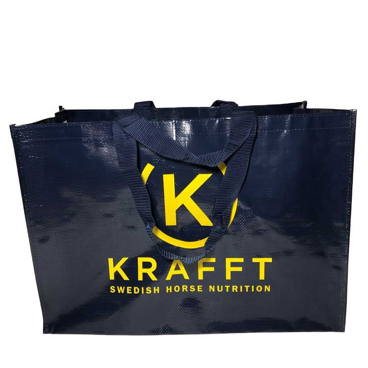 Manufacturer Custom Printed Shopping BOPP Laminated Recycled PP Woven Bag