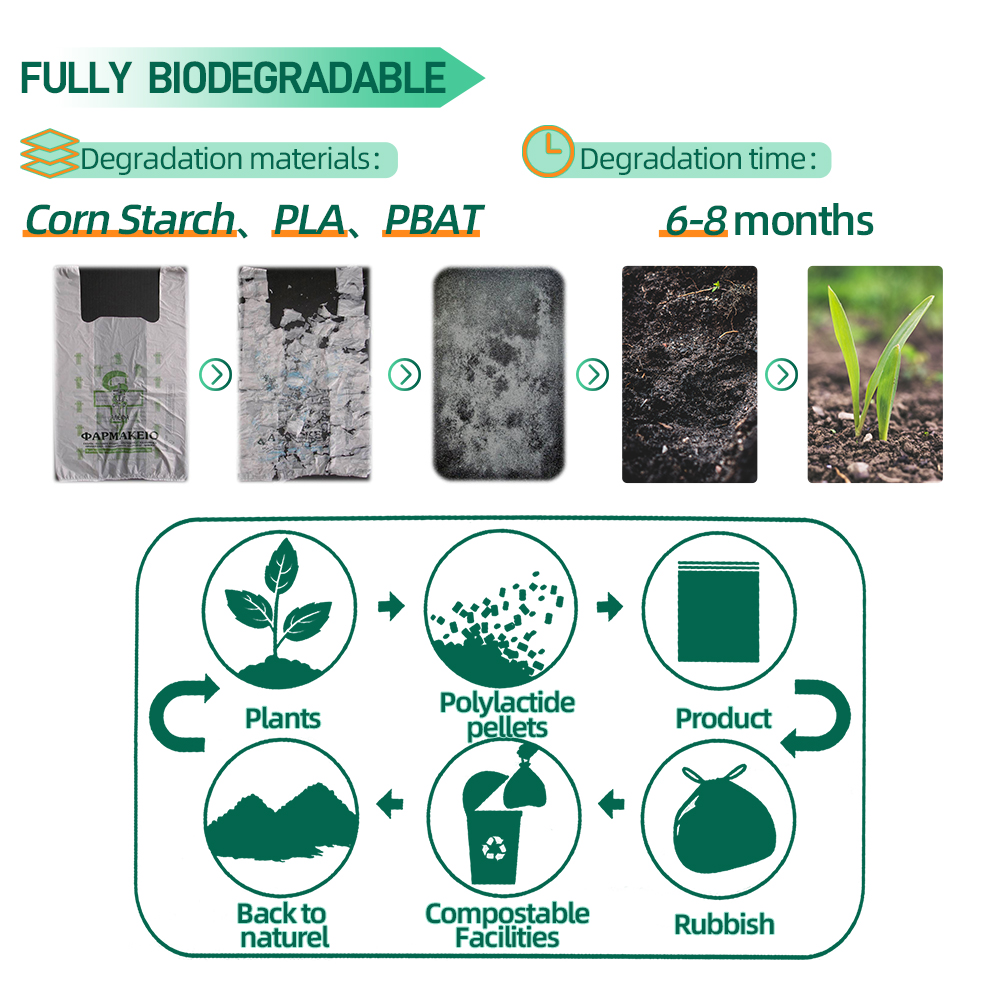 Custom Eco Friendly Matte Biodegradable Zip Lock Bag, T Shirt Swimwear Plastic Clothing Zipper Bags Ziplock Bag For Clothes