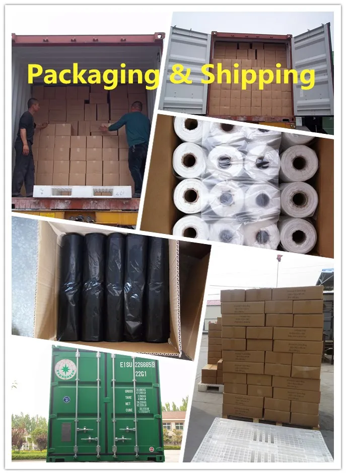 Packaging and Shipping Detail
