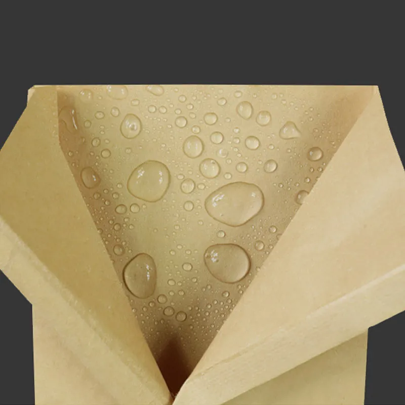 Eco-friendly Paper Bags