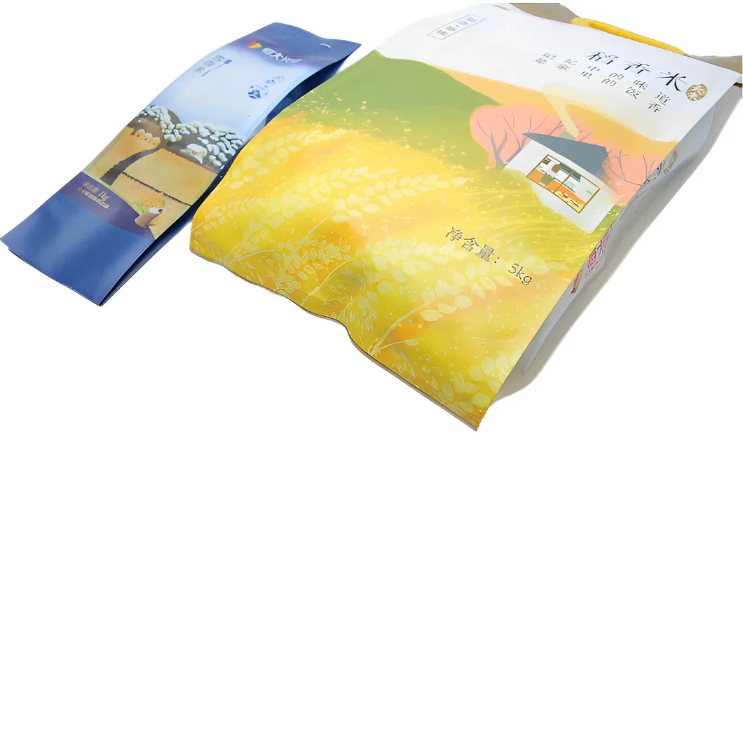 Custom Printing Plastic PP Handle Flat Side Gusseted Packaging Pouch 5kg 10kg Rice Bag