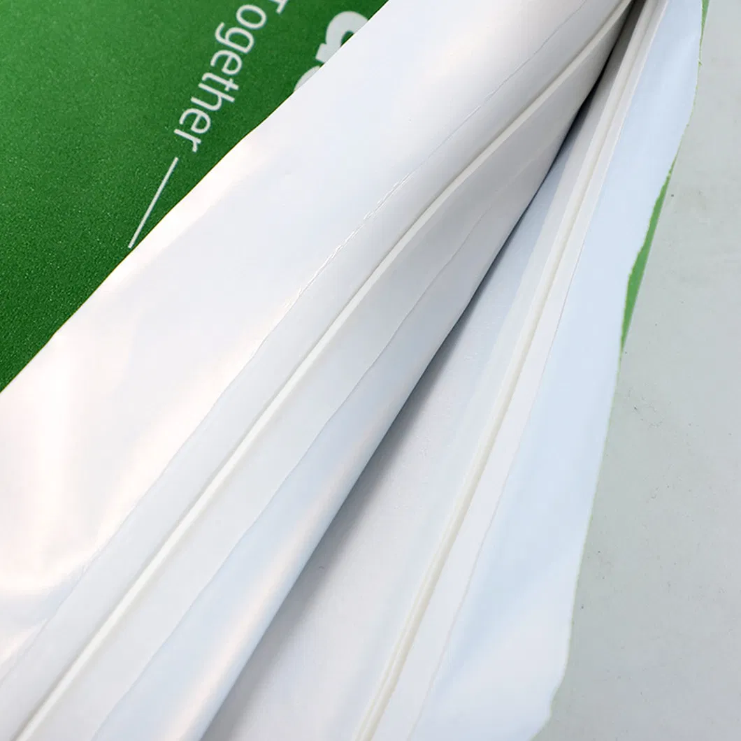 Green Kraft Paper Coffee Bags PLA with One-Way Valve Custom Printed Compostable Flat Bottom Stand up Pouch Side Gusset Coffee Packaging