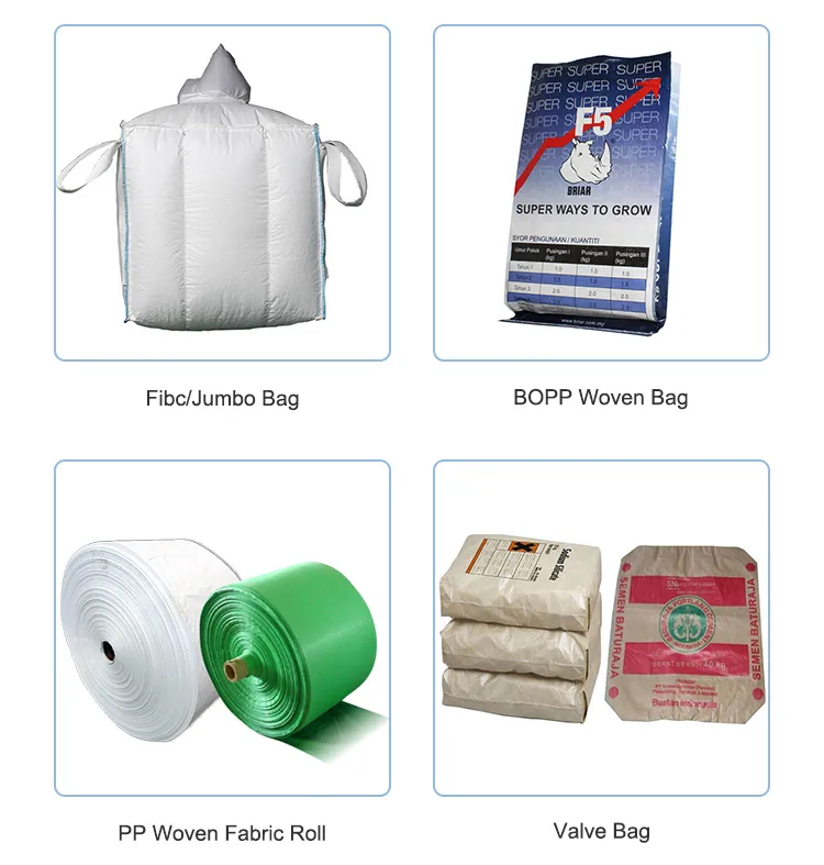 BOPP Laminated Bag