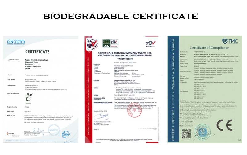 Certification 2