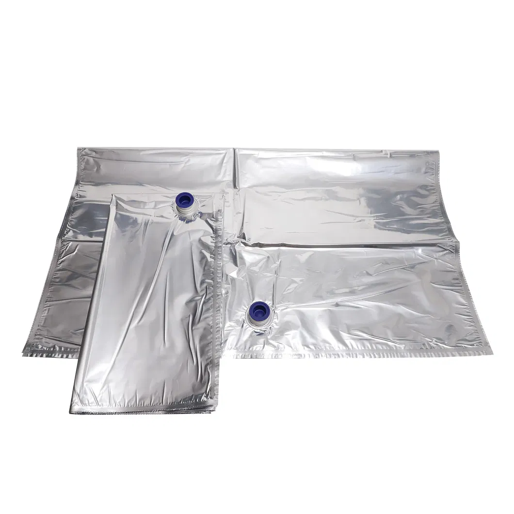 Aseptic Bag Detail 3