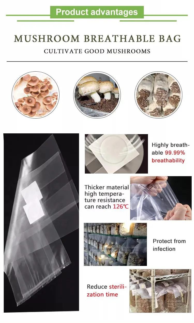 Autoclavable Gusseted Mushroom Bag