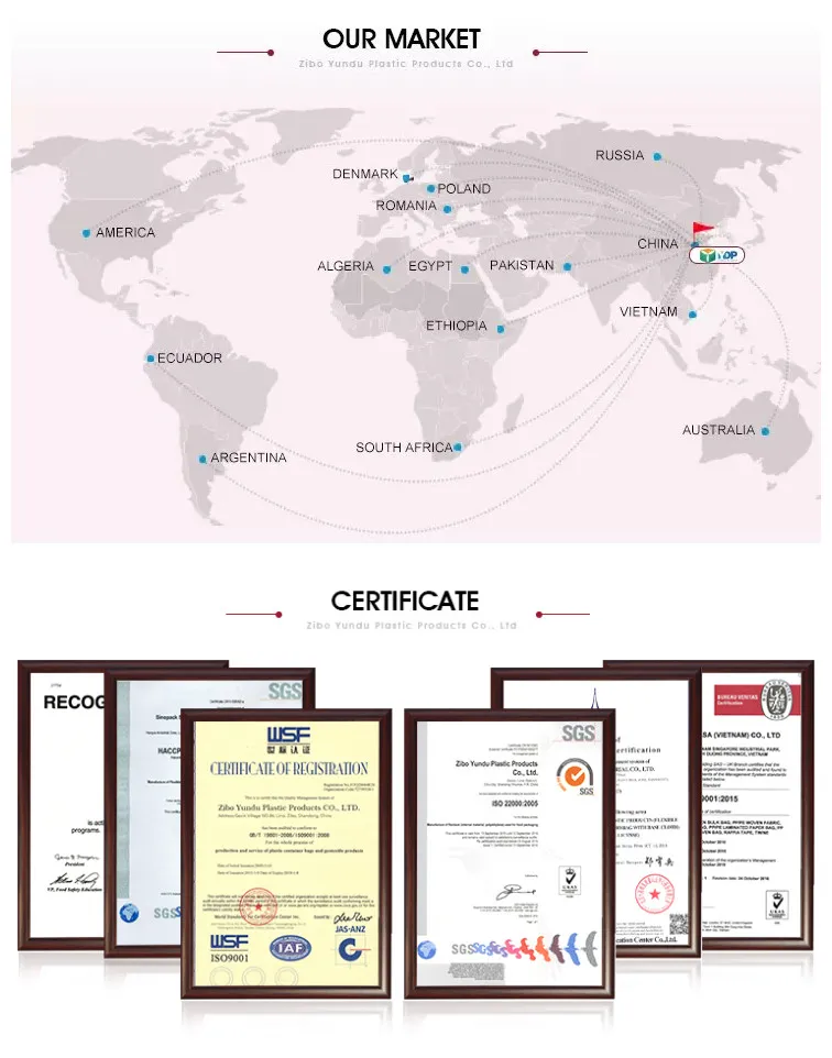 Client Feedback 2