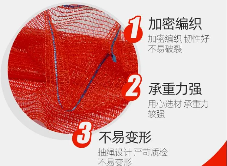 Mesh Bag 2