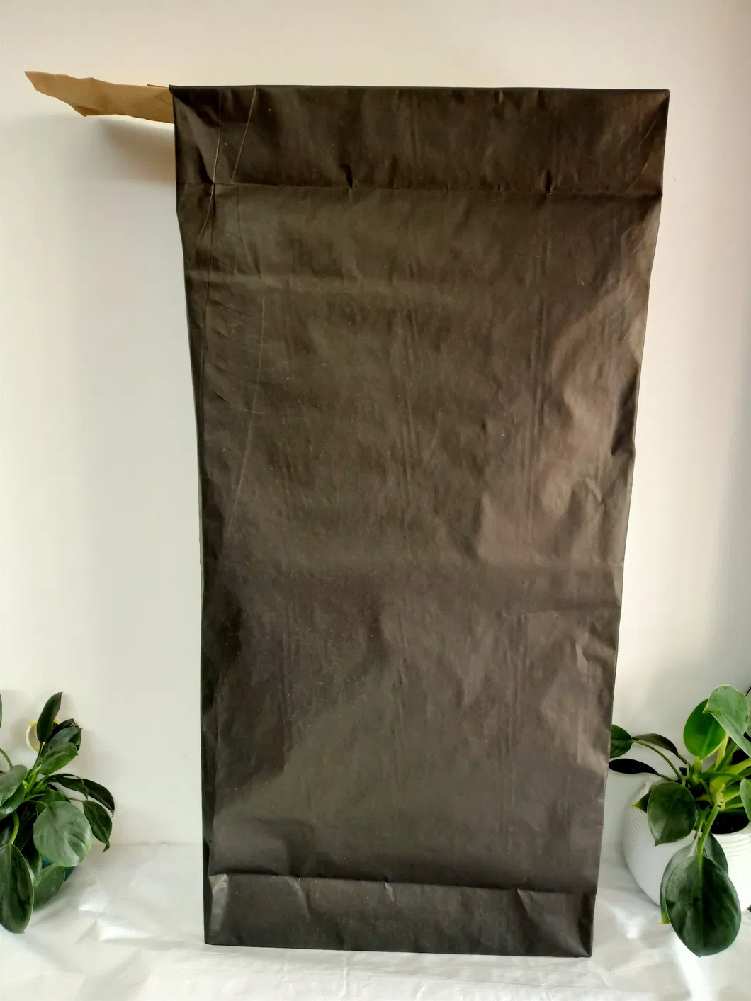Custom Paper Bag 1