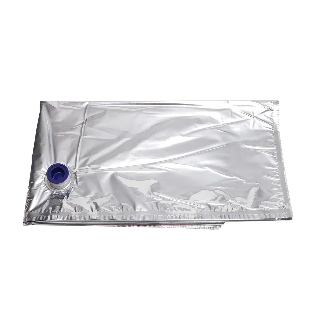 Aseptic Bag Detail 2