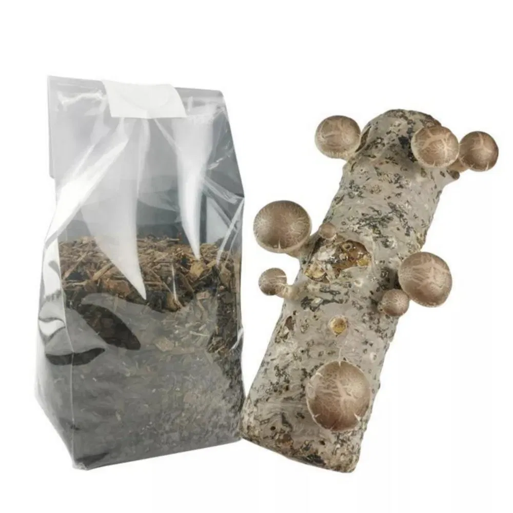 Autoclavable Gusseted Mushroom Polypropylene PP Plastic Spawn Grow Filter Bag