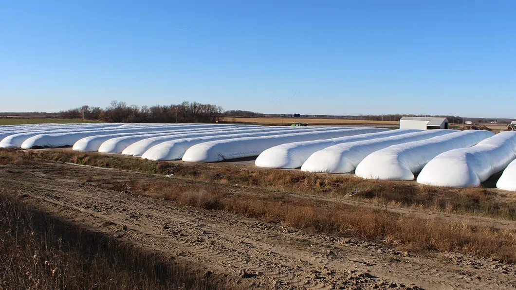 Silo Bag Storage