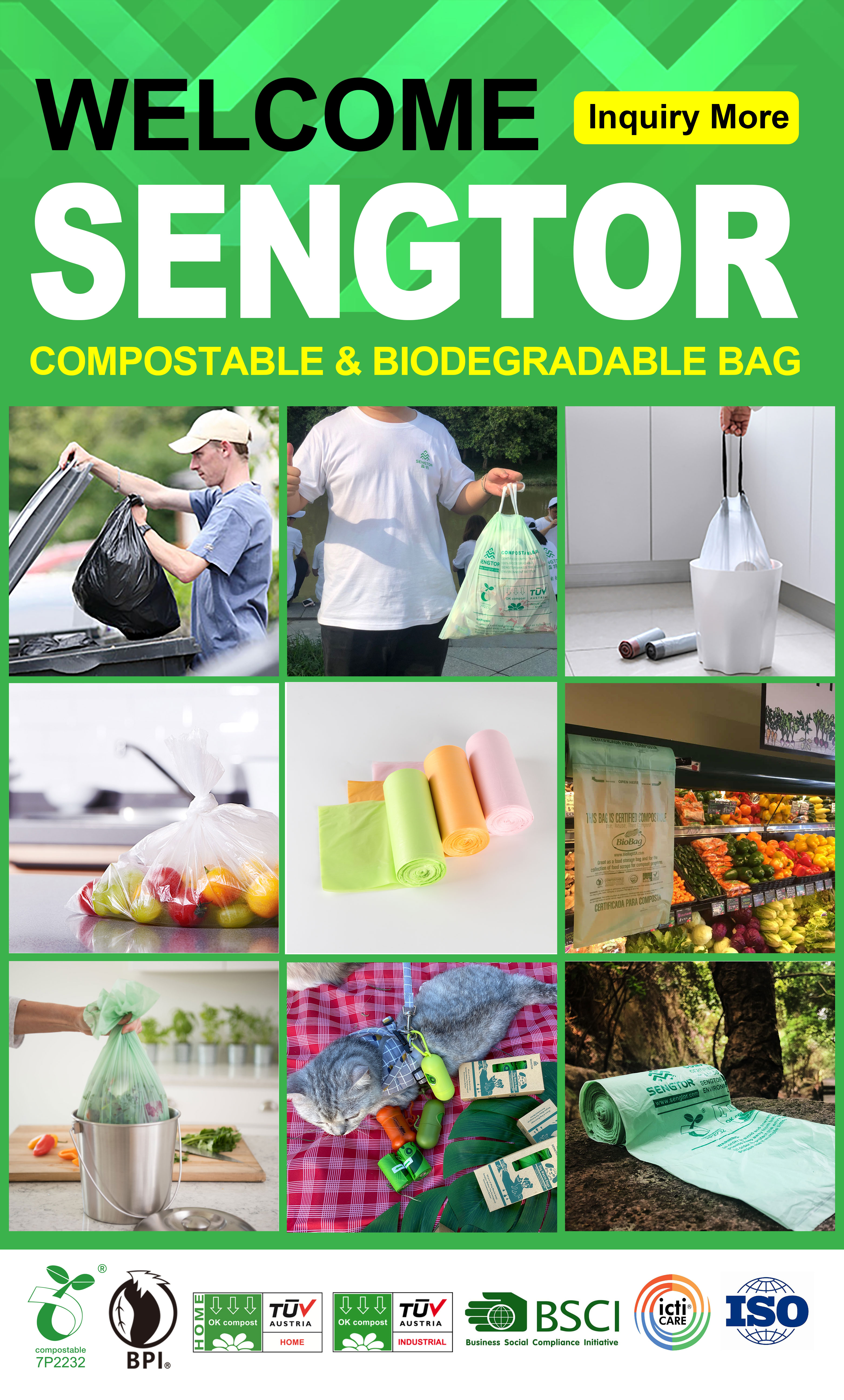 Our Services