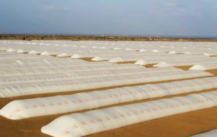 Grain Silo Bag
