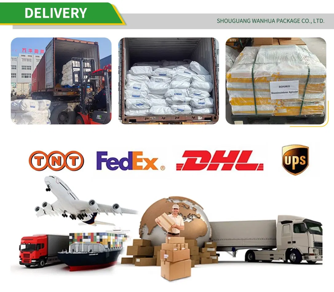 Shipping Logistics