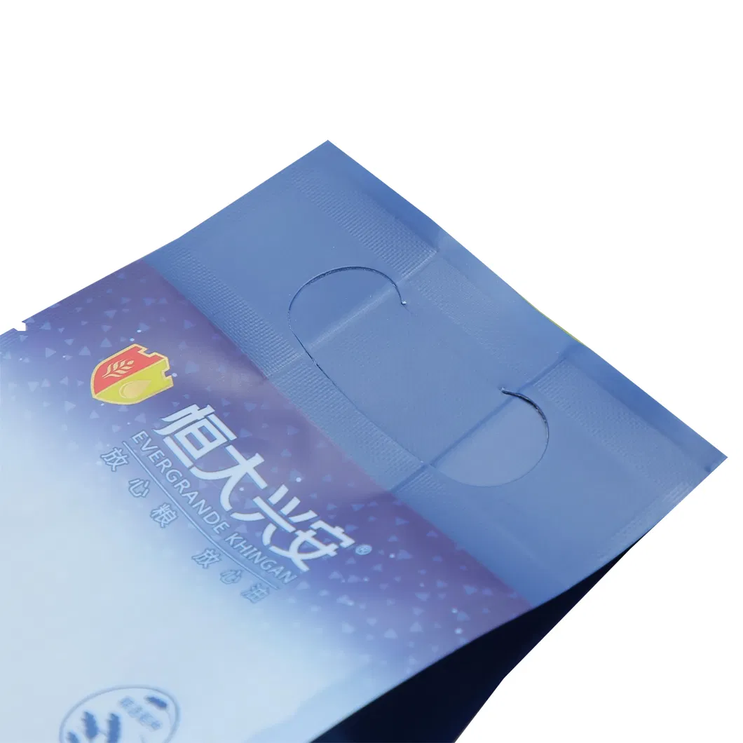 Custom Printing Plastic PP Handle Flat Side Gusseted Packaging Pouch 5kg 10kg Rice Bag