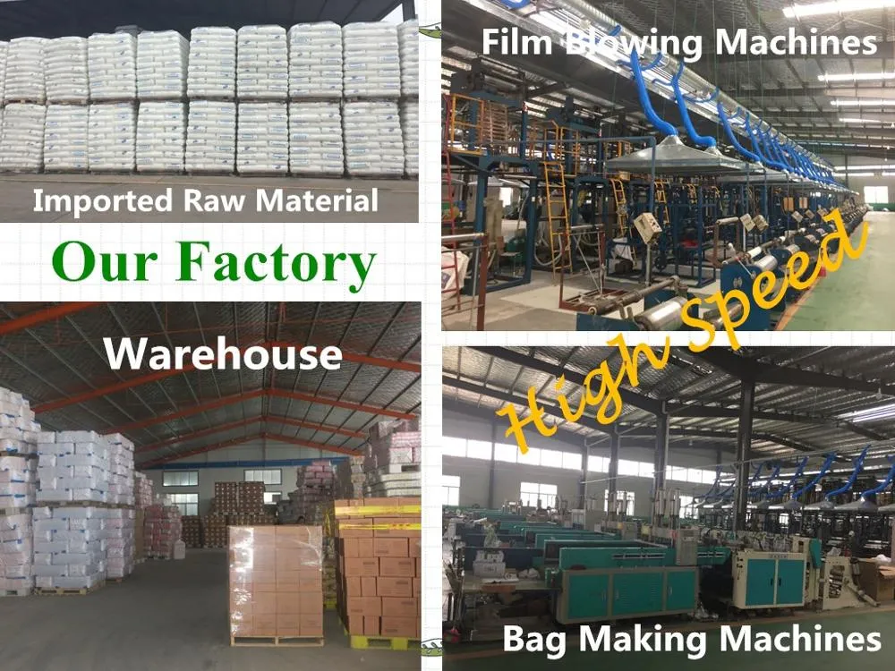 Factory Production Line