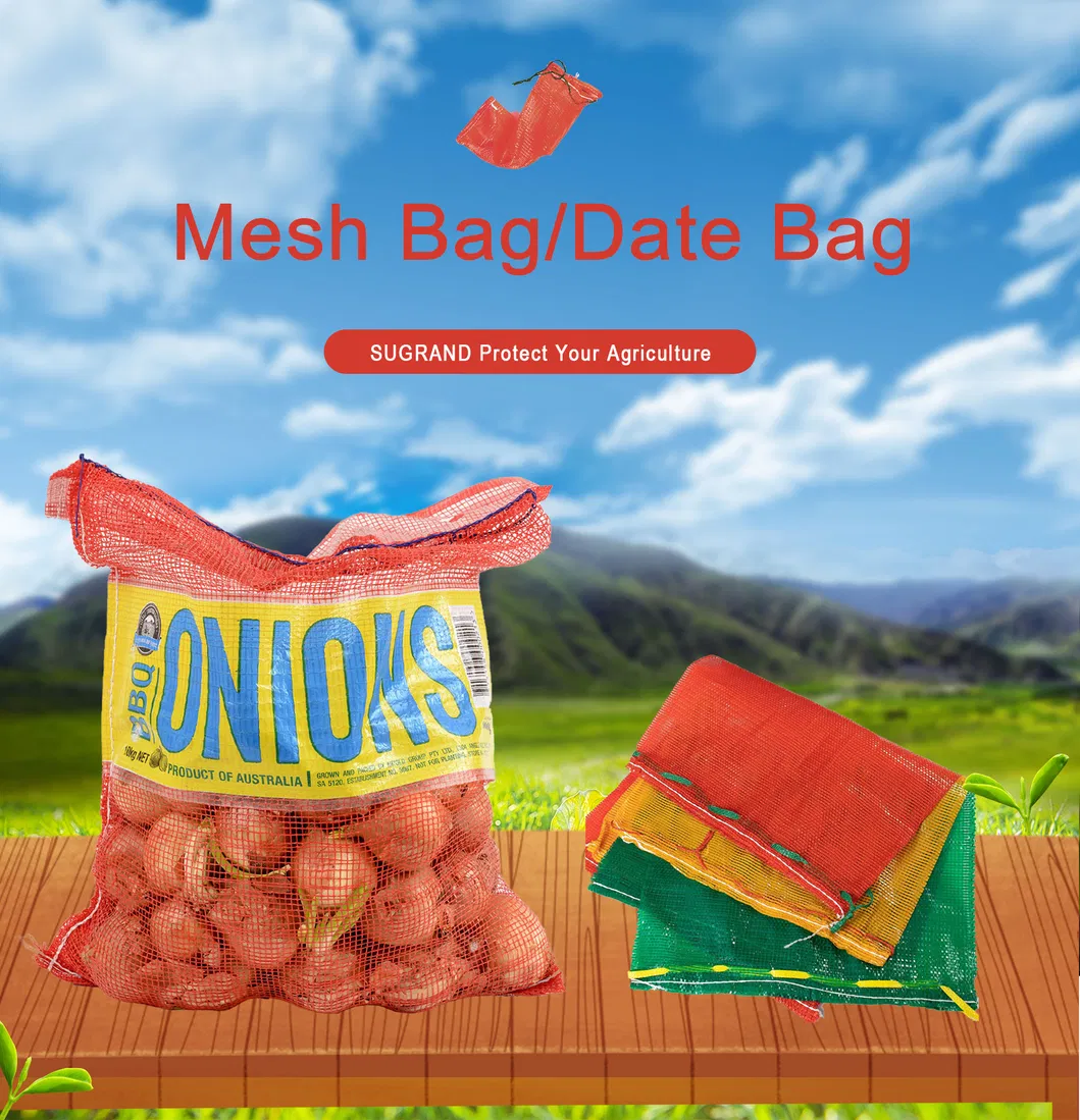 Mesh Bag 1