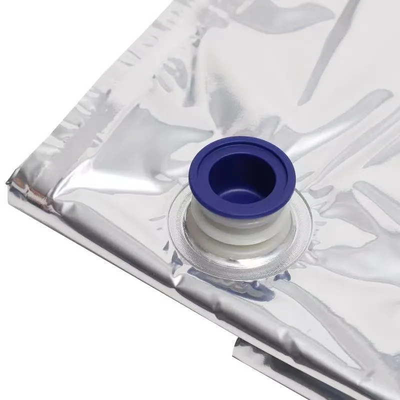 Aseptic Bag Detail 1