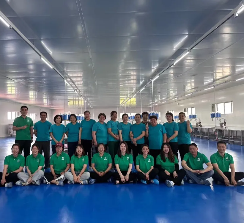 Professional Team