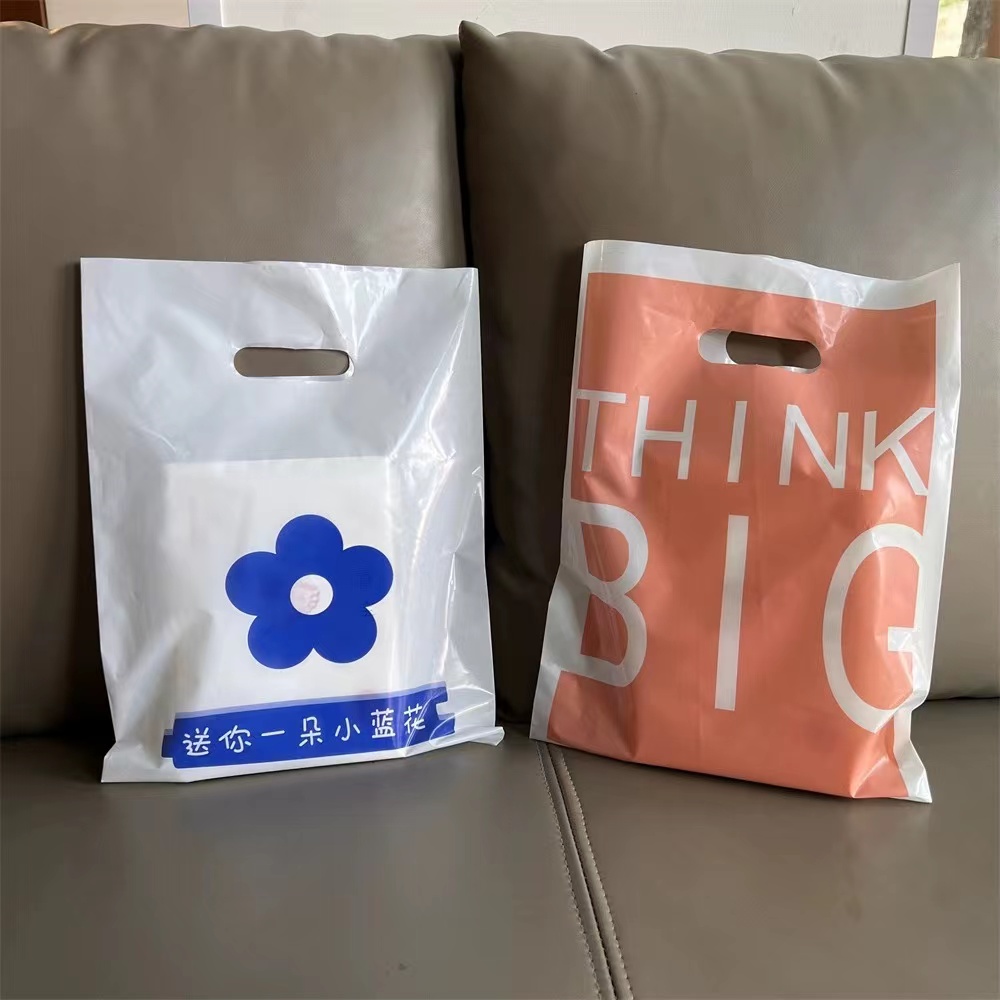 Custom Luxury Gift Biodegradable Reusable Clothing LDPE Plastic Bag Shopping Bags Logo Printed