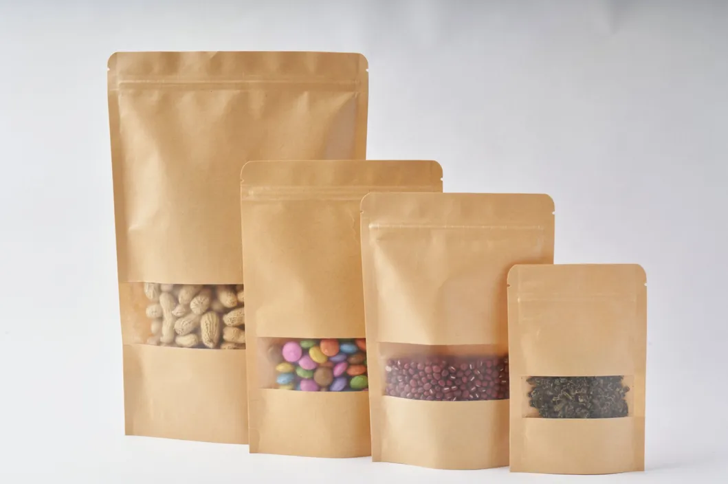 Kraft Paper Pouch 5